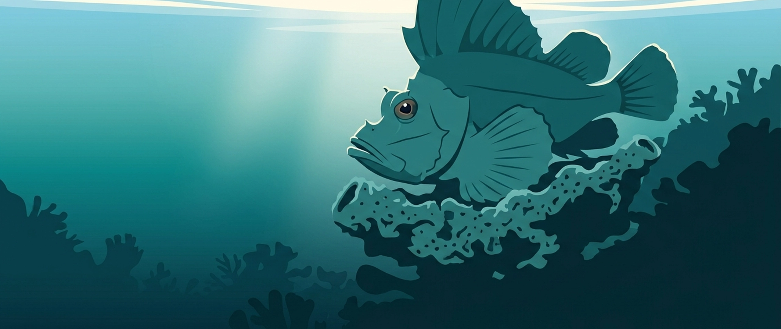一条叶须鲉紧贴在海绵上的插图
