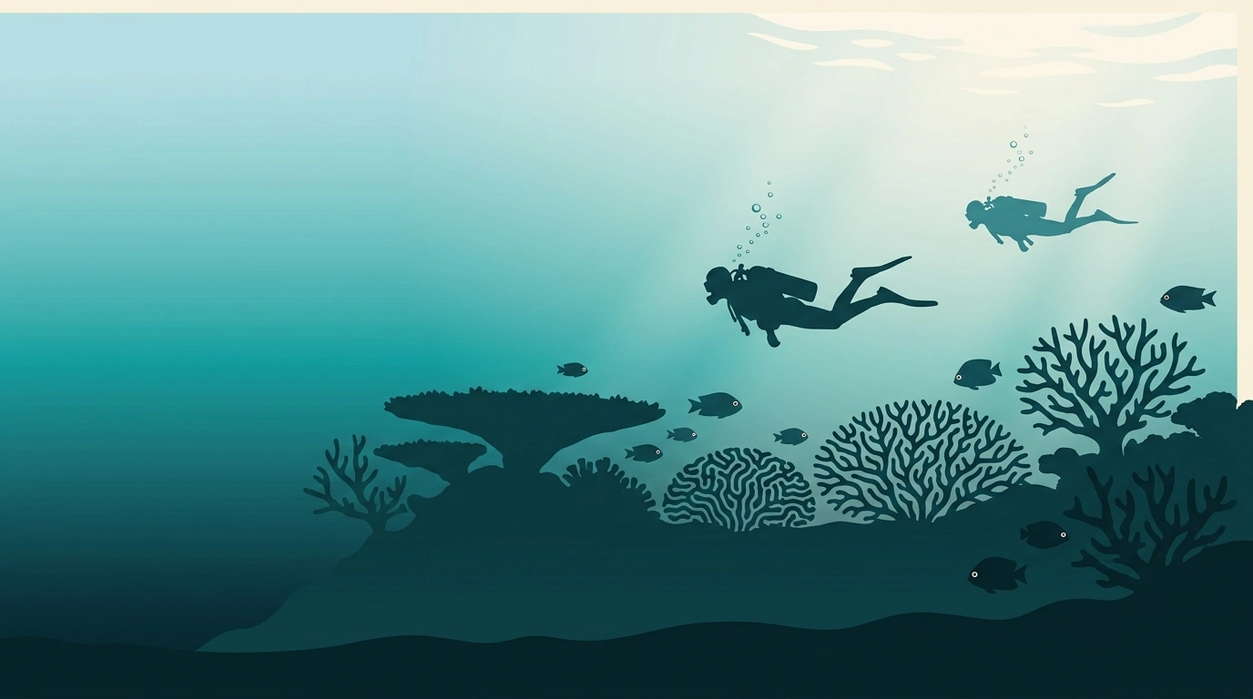 Illustration of a shallow coral garden in sunlight with small fish and a diver above