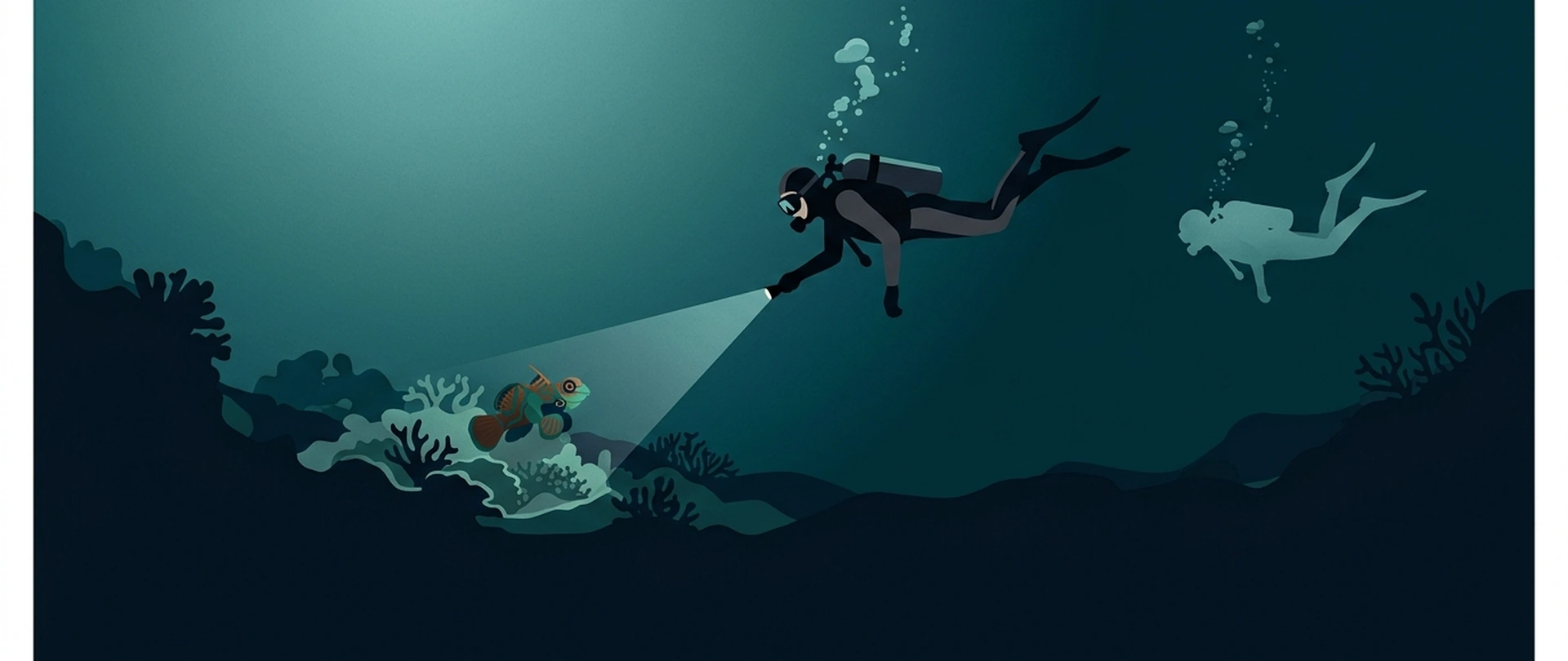 Illustration of a night dive with a torch beam picking out a creature on the reef
