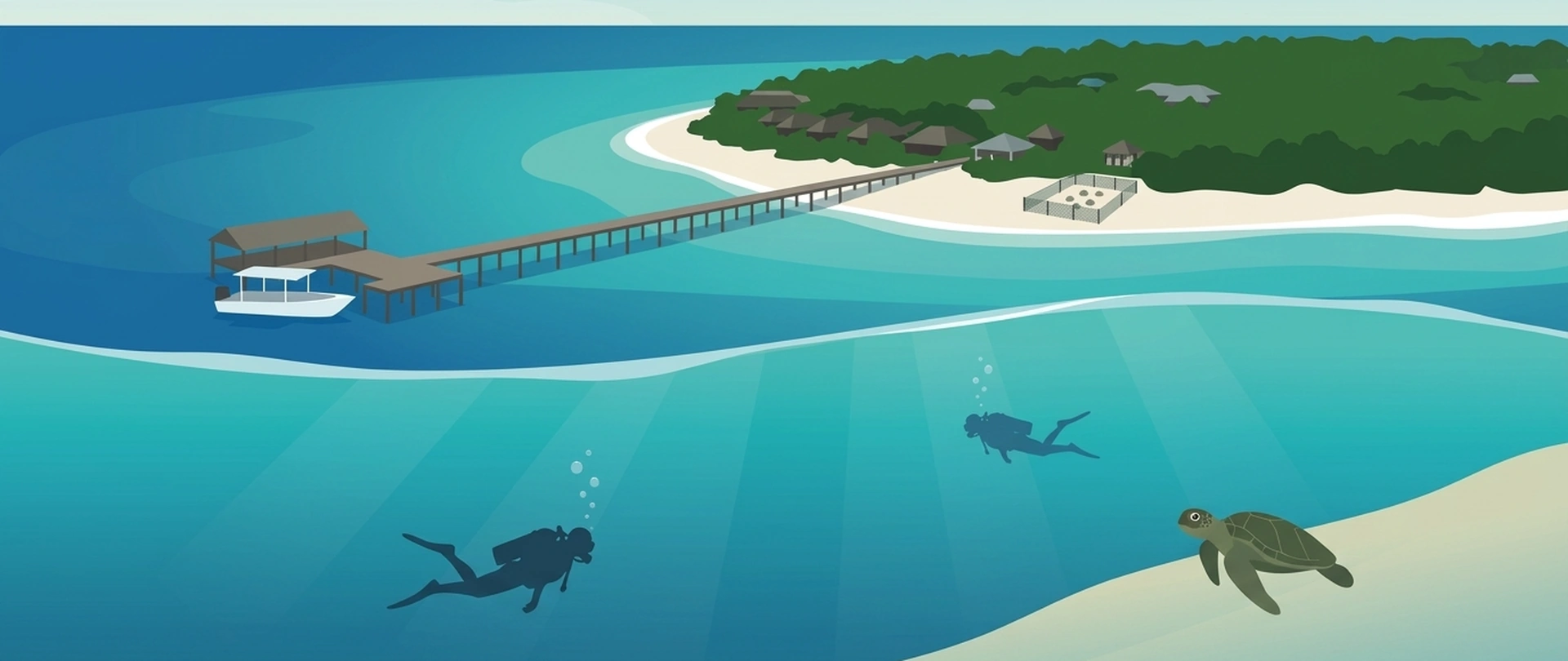 Illustration of the beach on Pom Pom with a fenced turtle nest enclosure and, below the waterline, two divers and a sea turtle over a sandy slope with a coral head
